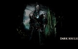 Dark Souls 2 暗黑靈魂2 遊戲高清壁紙 #2