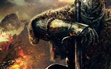 Dark Souls 2 fondos de pantalla de juegos de alta definición #11