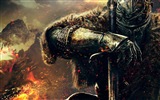 Dark Souls 2 暗黑靈魂2 遊戲高清壁紙 #11