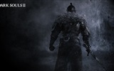 Dark Souls 2 fondos de pantalla de juegos de alta definición #12