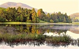 Sunshine lesní jezera krása přírody HD tapetu #14
