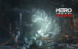 Metro 2033 Redux fonds d'écran du jeu #11