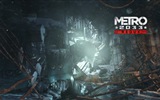 Игра обои Метро 2033 Redux #11