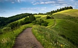 Windows 8 theme wallpaper, footpath HD wallpapers #11