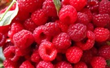 Sweet red raspberry HD wallpapers #4