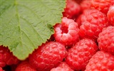 紅紅的甜樹莓 高清壁紙 #9