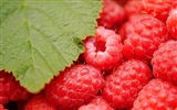 Sweet red raspberry HD wallpapers #9