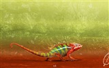 Barevné zvířat chameleon HD tapety na plochu #5