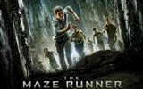 Les fonds d'écran cinéma Maze Runner HD #2