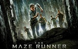 The Maze Runner 移動迷宮 高清電影壁紙 #2