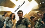 The Maze Runner 移动迷宫 高清电影壁纸4