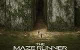The Maze Runner 移動迷宮 高清電影壁紙 #5