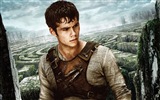 Die Maze Runner HD Film Hintergrundbilder #7