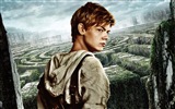 Die Maze Runner HD Film Hintergrundbilder #8