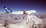 Boeing 747 Passagierflugzeug HD Wallpaper #9