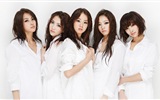 韓國美少女音樂組合，KARA高清壁紙