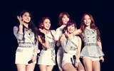 Korean girl music group, KARA HD wallpapers #10
