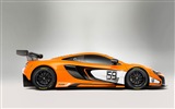 2015マクラーレン650S GT3スーパーカーのHDの壁紙 #11