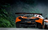 2015マクラーレン650S GT3スーパーカーのHDの壁紙 #3