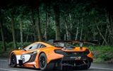 2015 McLaren 650S GT3 wallpapers superdeportivo HD #5