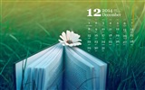 Декабрь 2014 Календарь обои (1) #7