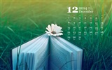 Décembre 2014 Calendrier fond d'écran (1) #7