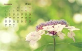 Dezember 2014 Kalender Wallpaper (1) #12