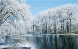 冬天的雪景，山，湖，樹木，道路高清壁紙