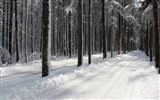 Zima, sníh, hory, jezera, stromy, silnice HD tapety na plochu #3