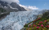 冬天的雪景，山，湖，树木，道路 高清壁纸20