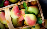 Succulent fruits, poires close-up fonds d'écran HD