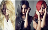 T-ARA Music Group, Korean girls HD wallpaper #24