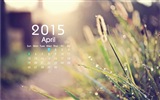 Calendrier 2015 fonds d'écran HD