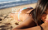 Calendario 2015 fondos de pantalla de alta definición #14