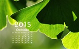 Calendar 2015 HD wallpapers #15