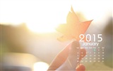 Calendar 2015 HD wallpapers #23