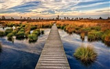 Lake and boardwalk dusk views HD wallpapers