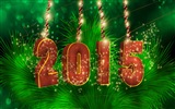 2015 Новый год тема HD обои (1) #14
