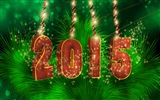 2015 New Year theme HD wallpapers (1) #14