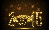 2015 Новый год тема HD обои (1) #19