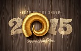 2015 New Year theme HD wallpapers (2) #16