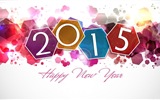 2015 New Year theme HD wallpapers (2) #17