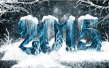 2015 neues Jahr Thema HD Wallpaper (2) #20