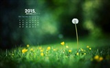 January 2015 calendar wallpaper (1) #15