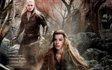 Der Hobbit: Die Schlacht der fünf Heere, Film HD Wallpaper #3