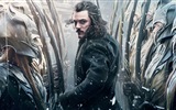 The Hobbit: The Battle of the Five Armies 霍比特人3：五軍之戰高清壁紙 #8