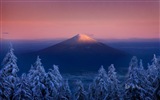 Décembre 2014 fonds d'écran HD Bing #15