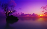 Schöne Farben der Natur HD Wallpaper #2