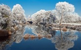 冬季冰雪美景 高清壁紙 #2