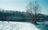 Neige d'hiver fonds d'écran HD magnifique de paysages #6